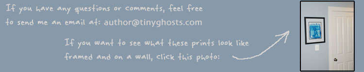 If you have any questions or comments, feel free to send me an email at...  If you want to see what these prints look like framed and on a wall, click this photo.