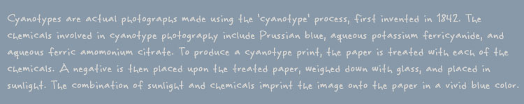 Cyanotypes are actual photographs made using the 'cyanotype' process, first invented in 1842. The
chemicals involved in cyanotype photography include Prussian blue, aqueous potassium ferricyanide, and
aqueous ferric amomonium citrate. To produce a cyanotype print, the paper is treated with each of the
chemicals. A negative is then placed upon the treated paper, weighed down with glass, and placed in
sunlight. The combination of sunlight and chemicals imprint the image onto the paper in a vivid blue color.